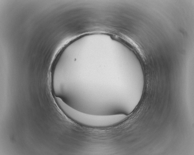 X0000115621472200912081013