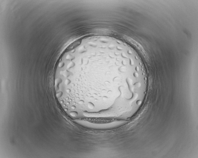 X0000115621473200912081013