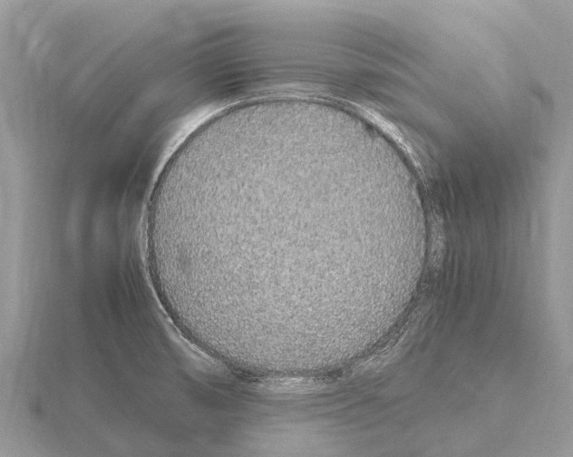 X0000115621474200912081013