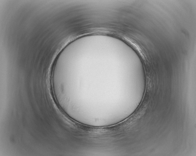 X0000115621475200912081013