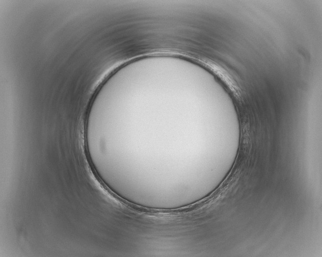 X0000115621476200912081013