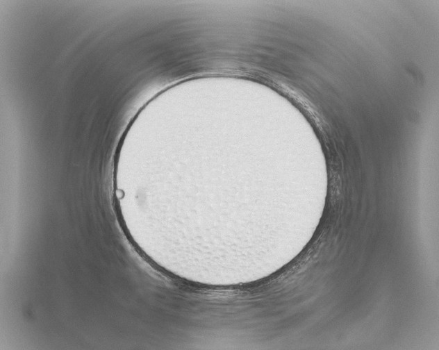 X0000115621479200912081013