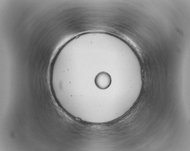 X0000115621480200912081013