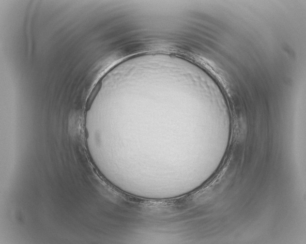 X0000115621481200912081013