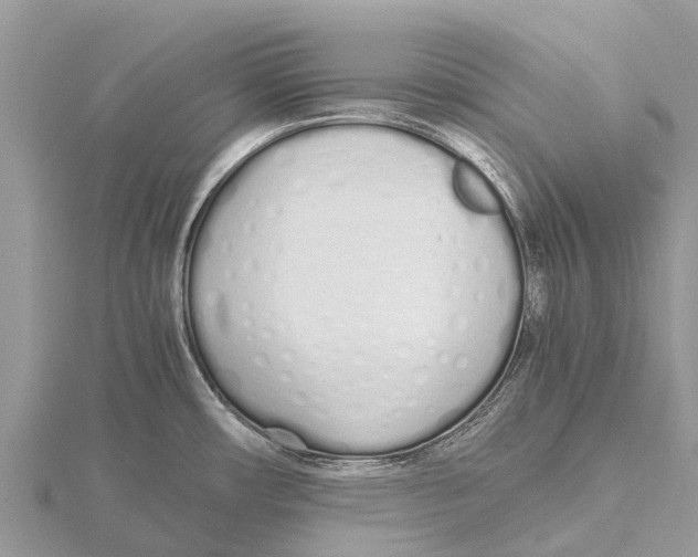 X0000115621482200912081013