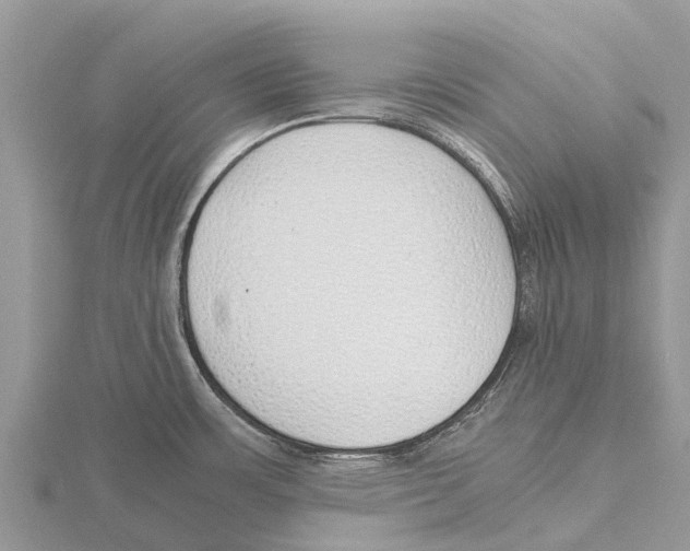 X0000115621483200912081013