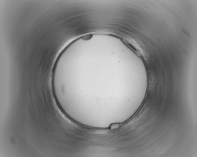 X0000115621484200912081013