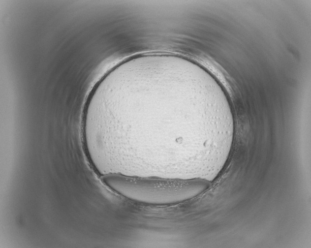 X0000115621485200912081013