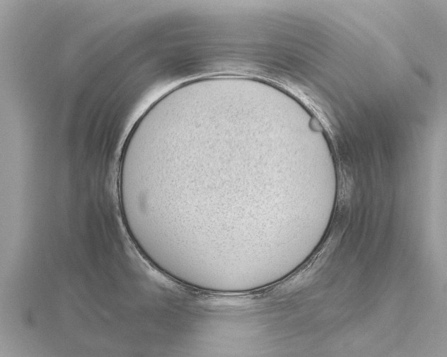 X0000115621486200912081013