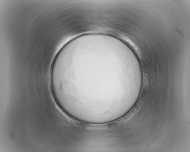 X0000115621487200912081012