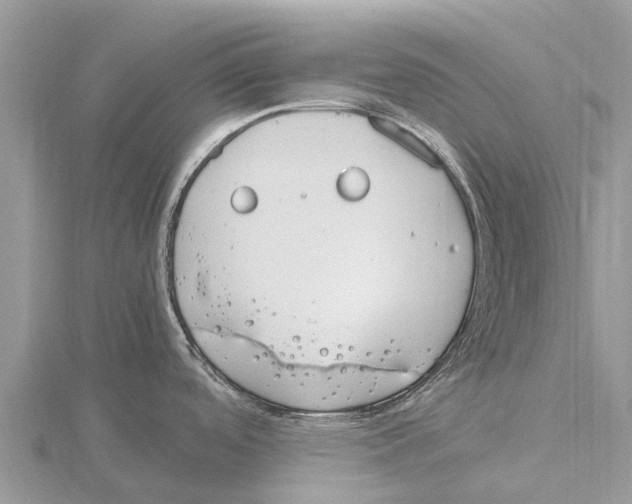 X0000115621488200912081012