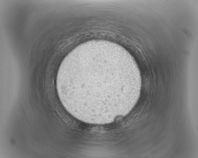 X0000115621489200912081012