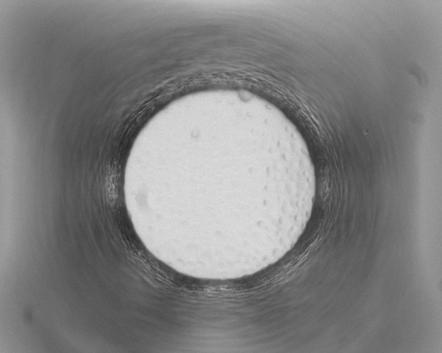 X0000115621490200912081012