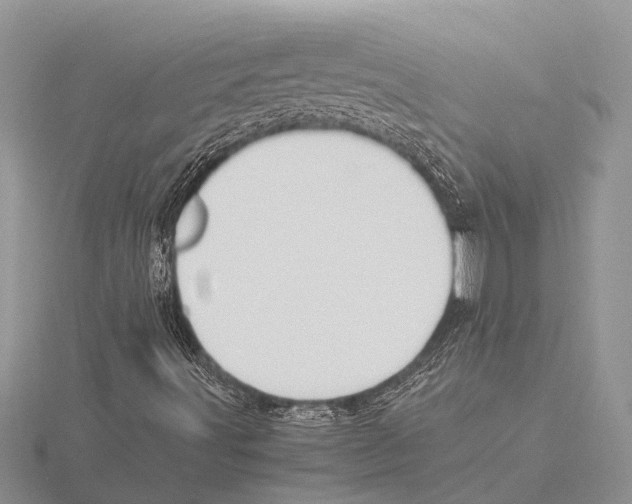 X0000115621491200912081012