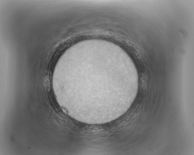 X0000115621493200912081012