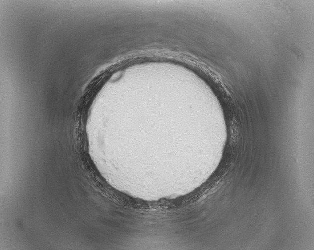 X0000115621494200912081012