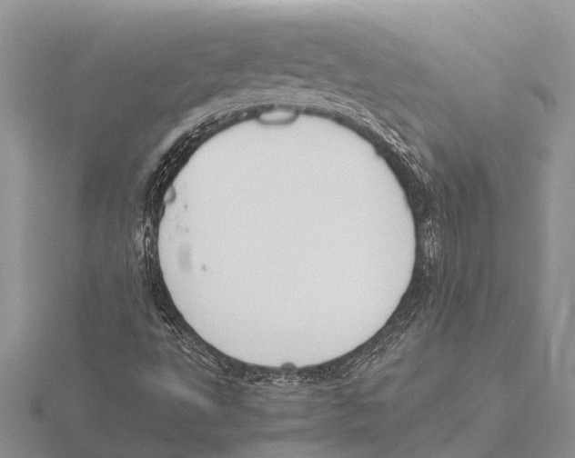 X0000115621495200912081012