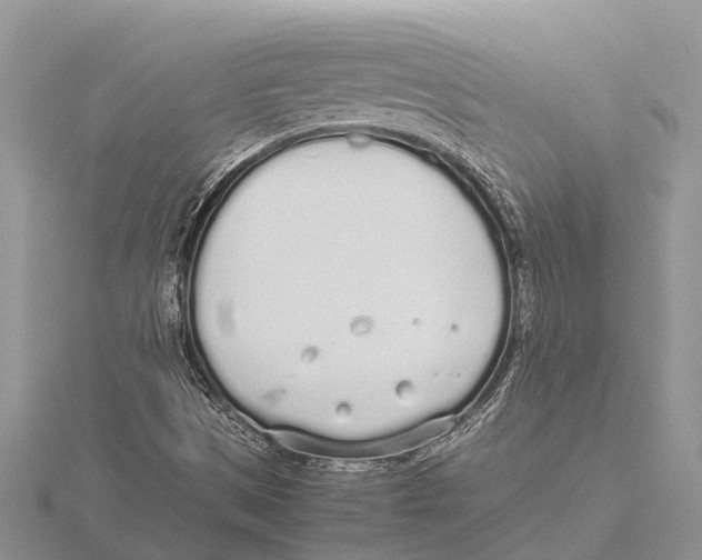 X0000115621497200912081012