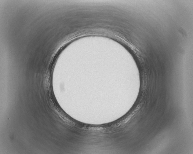 X0000115621498200912081012