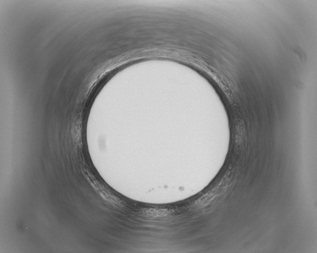 X0000115621499200912081012