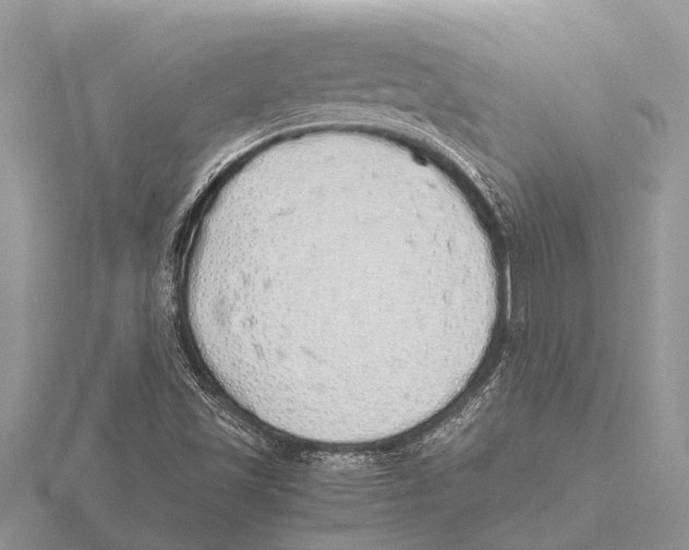 X0000115621501200912081012