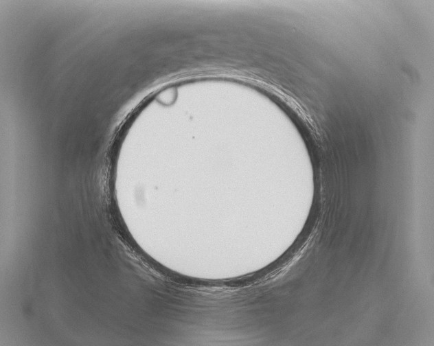 X0000115621502200912081012