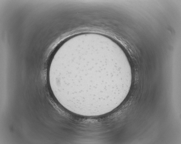 X0000115621503200912081012