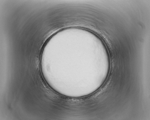 X0000115621505200912081012