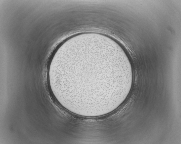 X0000115621507200912081012