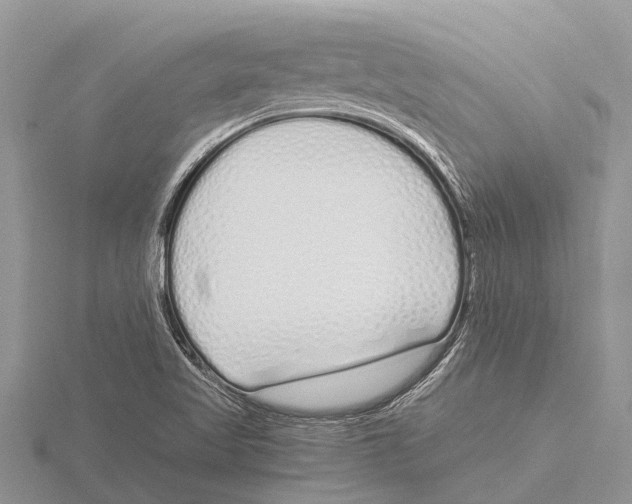 X0000115621509200912081012