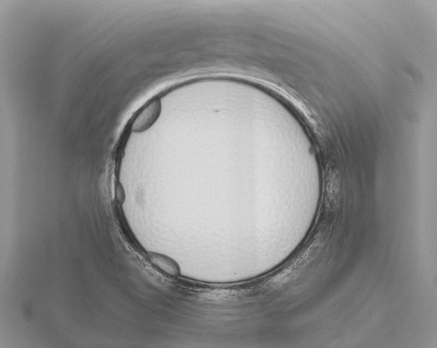 X0000115621510200912081012