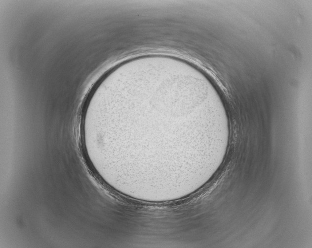 X0000115621511200912081012