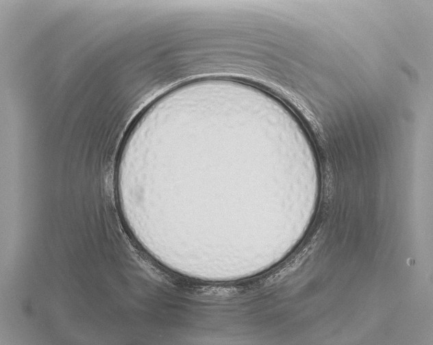 X0000115621513200912081012