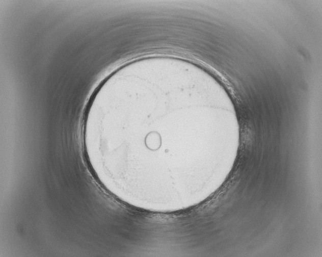 X0000115621514200912081012