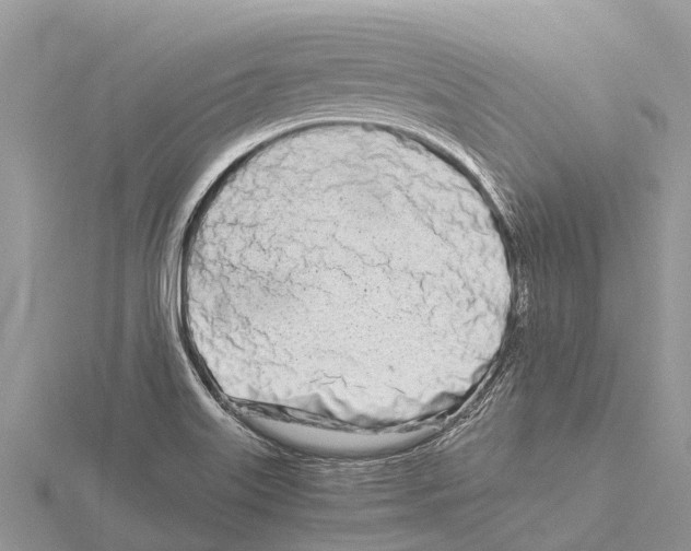 X0000115621515200912081012