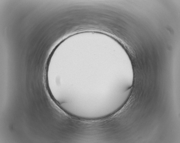 X0000115621518200912081012