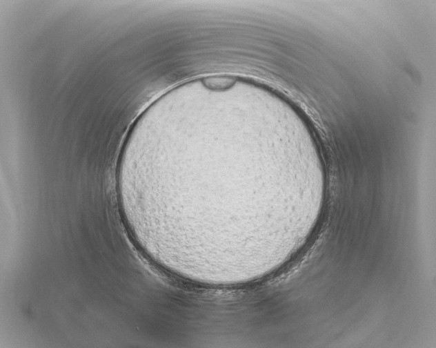 X0000115621521200912081012