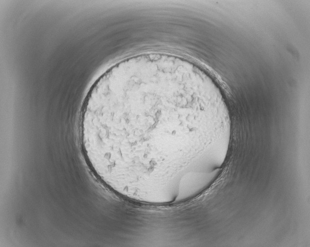 X0000115621522200912081012