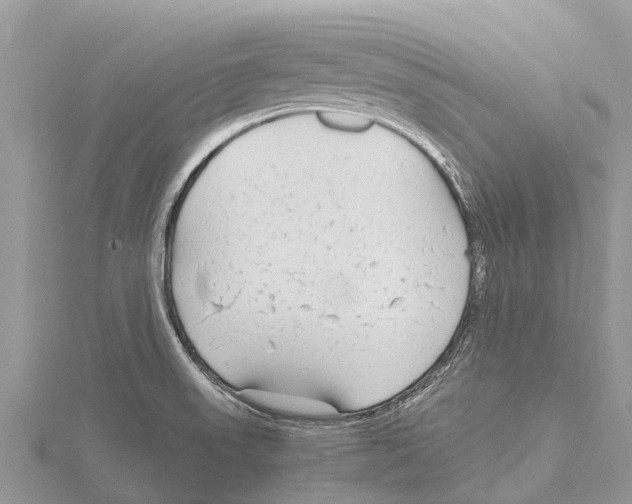 X0000115621523200912081012