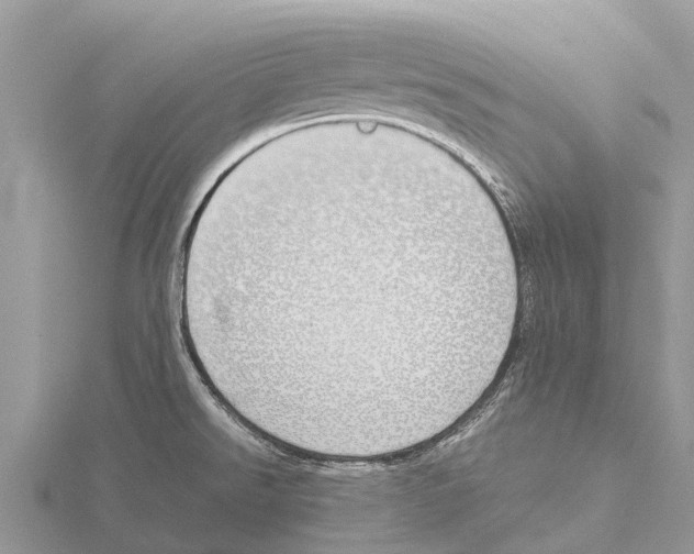 X0000115621526200912081012