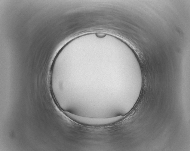 X0000115621527200912081012