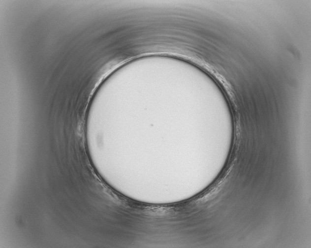 X0000115621529200912081012