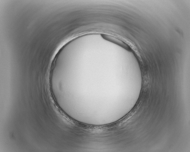 X0000115621530200912081012