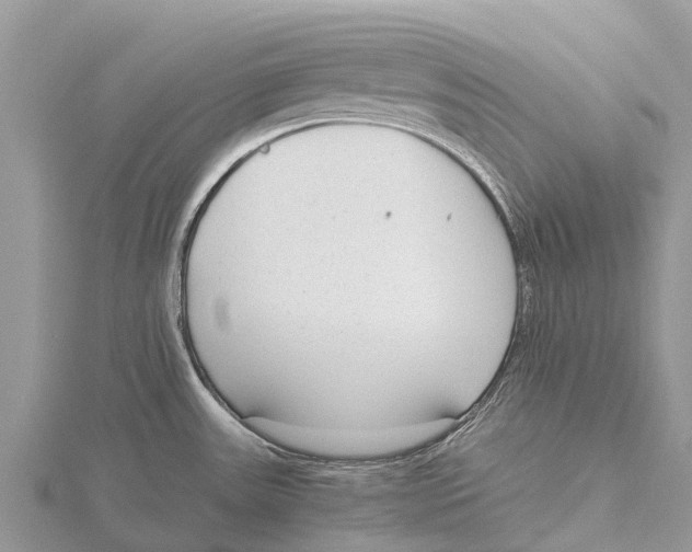 X0000115621531200912081012