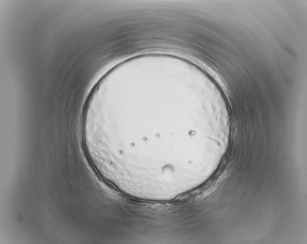 X0000115621533200912081012