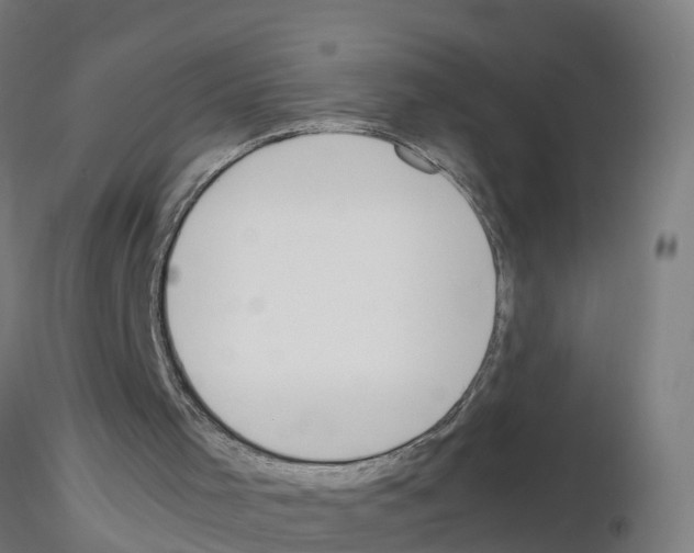 X0000115620001200912221238