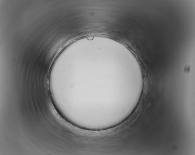 X0000115620002200912221238