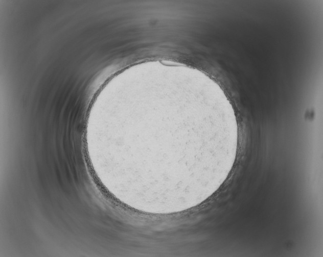 X0000115620003200912221238