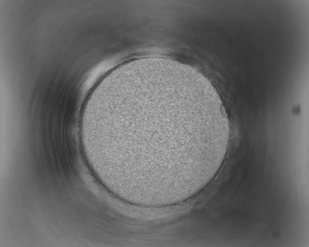 X0000115620006200912221238
