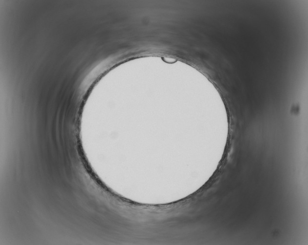 X0000115620007200912221238